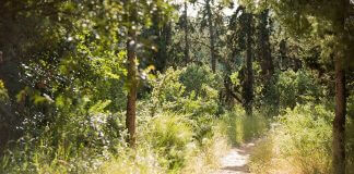 Καθαρισμός του όμορφου Υμηττού μας, ελάτε να μας βοηθήσετε! Καθαρισμός του όμορφου Υμηττού μας, ελάτε να μας βοηθήσετε!