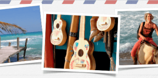 Συγχαρητήρια στο Δήμαρχο για ένα περιβαλλοντικό έγκλημα; Συγχαρητήρια στο Δήμαρχο για ένα περιβαλλοντικό έγκλημα;