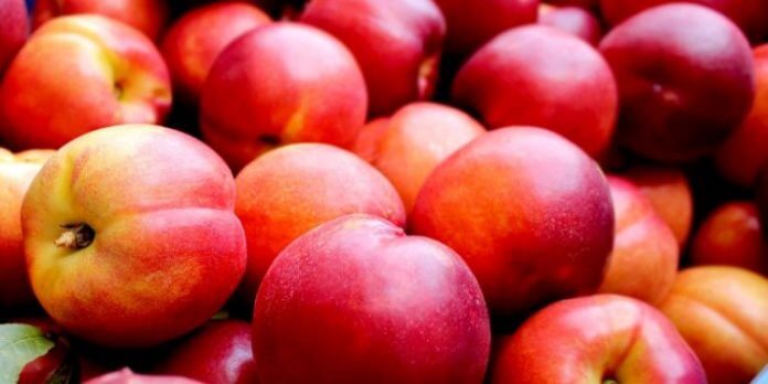 nektarinia-Large-750x375