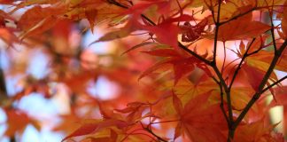 Καλό μήνα σε όλους … Καλό μήνα σε όλους