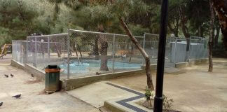 Υπέροχο έγινε το άλσος στον Χολαργό μετά την ανάπλαση του Υπέροχο έγινε το άλσος στον Χολαργό μετά την ανάπλαση του