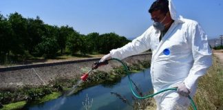 Tι γίνετε με τα κουνούπια στην Αττική γιατί έχουμε τόσα πολλά; Tι γίνετε με τα κουνούπια στην Αττική γιατί έχουμε τόσα πολλά;