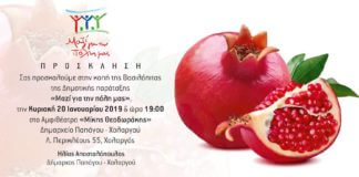 Κοπή πίτας από τον δήμαρχο Παπάγου – Χολαργού Ηλία Αποστολόπουλο