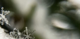 Μέτρα προστασίας και θερμαινόμενοι χώροι Δήμου Παπάγου – Χολαργού