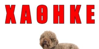 Χάθηκε η BRUNA η βοήθεια σας είναι πολύ σημαντική …