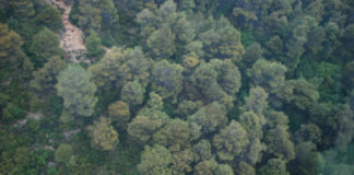 Εκδρομή στην Πάρνηθα από το 2ο Δημοτικό Χολαργού