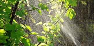 Ξεκίνησε από τον δήμο Παπάγου – Χολαργού η καταπολέμηση κουνουπιών