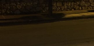 Μήπως έχει χάσει κάποιος αυτόν τον σκύλο σε Χολαργό – Παπάγο;