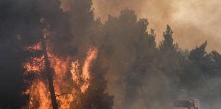 ΔΑΠΑΧΟ: Πυρκαγιά στην Πίνδου τέθηκε άμεσα υπό έλεγχο … Φωτιά τώρα: Μεγάλη φωτιά στην Εύβοια- Εκκενώνονται οικισμοί