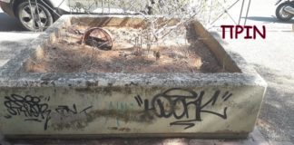 Πολλά μπράβο στον Δημήτρη Οικονόμου για τα παρτέρια δείτε πως έγιναν … Πολλά μπράβο στον Δημήτρη Οικονόμου για τα παρτέρια δείτε πως έγιναν ...