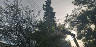 Χολαργός: Απομάκρυνση κλαδιών από τα ηλεκτροφόρα καλώδια