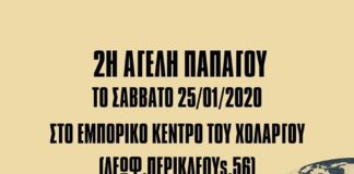 2ο Σύστημα Προσκόπων Παπάγου: Προσφορά για τις πυρκαγιές στην Αυστραλία
