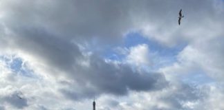 Άδωνις Γεωργιάδης Παρίσι: Δείτε τις πρώτες φωτογραφίες