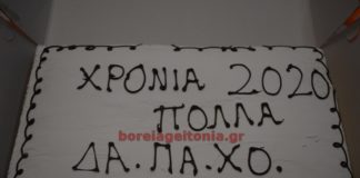 ΔΑ.ΠΑ.ΧΟ: Κοπή Βασιλόπιτας για τους Εθελοντές δασοπυροσβέστες