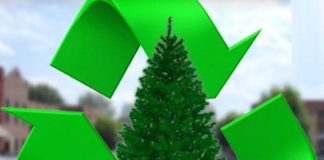 Δήμος Παπάγου-Χολαργού: Κανένα Χριστουγεννιάτικο δέντρο στους κάδους