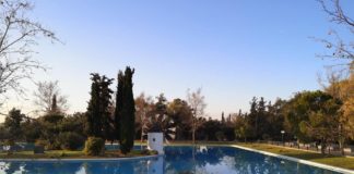 Υπέροχες εικόνες από το άλσος της Νέας Φιλαδέλφειας.