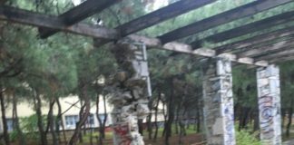 Δημάρχου Παπάγου – Χολαργού: Μηνυτήρια αναφορά για τους βανδαλισμούς στο Άλσος Χολαργού