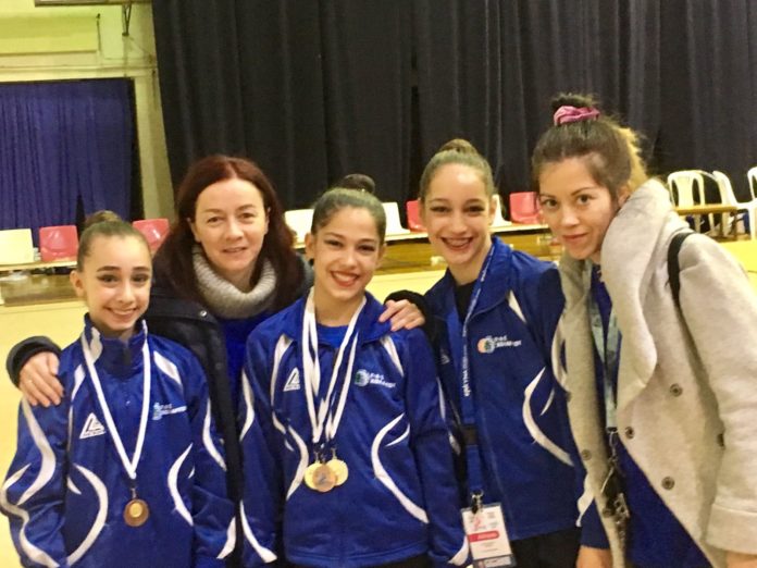 Γ.Α.Σ. Χολαργού Διακρίσεις του Τμήματος Ρυθμικής Γυμναστικής-boreiageitonia170220 (3)