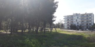 Δημήτρης Οικονόμου: Δράση καθαρισμού-εξωραϊσμού στην περιοχή της οδού Πίνδου