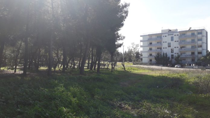 Δημήτρης Οικονόμου- Την Κυριακή 16 Φεβρουαρίου, η Αντιδημαρχία ,Πρασίνου-Καθαριότητος-boreiageitonia110220