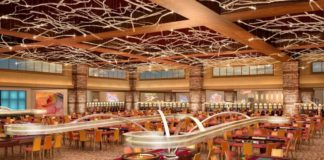 Καζίνο Πάρνηθα: Προσκλητήριο Ενότητας για κινητοποίηση στο ΣτΕ