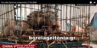 Κορονοϊός: Δείτε από που ξεκίνησε ο ιός και πέρασε στους ανθρώπους