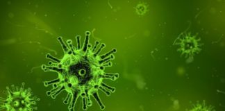 Κορωνοϊός στην Ελλάδα: Στα 31 τα κρούσματα – 21 νέα