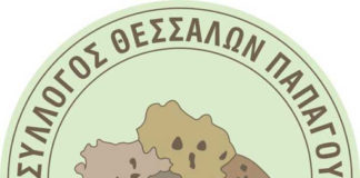 Σύλλογος Θεσσαλών Παπάγου -Χολαργού: Κοπή βασιλόπιτας