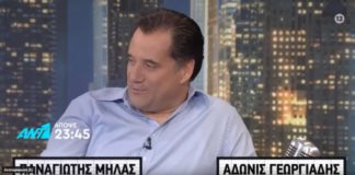 Άδωνις Γεωργιάδης: Συνεργασία με τον Παναγιώτη για την αστυνομία ζώων