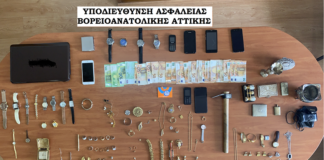 Βορειοανατολικής Αττικής: Εξαρθρώθηκαν δύο εγκληματικές οργανώσεις