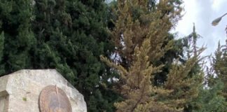 Ηλίας Αποστολόπουλος: Με δόξα και τιμή καταθέτει στεφάνι για την 25η Μαρτίου