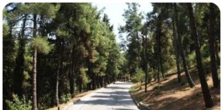 Κλειστά από το Σάββατο 21 Μαρτίου το πάρκο “Στρατ. Αλεξ. Παπάγου” και το άλσος “Α. Παπανδρέου”.