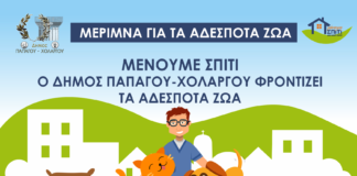 Μείνετε σπίτι. Ο Δήμος Παπάγου – Χολαργού φροντίζει για τα αδέσποτα ζώα.