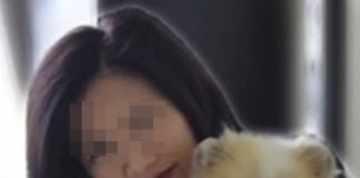 Πέθανε ο σκύλος που είχε βρεθεί «ελαφρά θετικός» στον κορωνοϊό