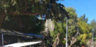 Χολαργός: Ξεκίνησαν οι απολυμάνσεις των πλατειών και λεωφορείων