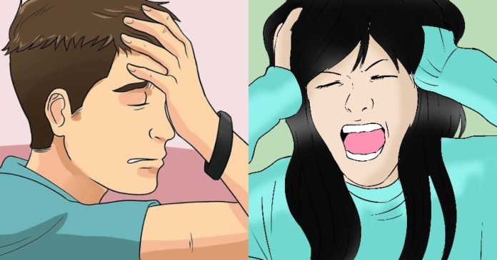 arnitikoi-anthropoi-ta-10-charaktiristika-toys