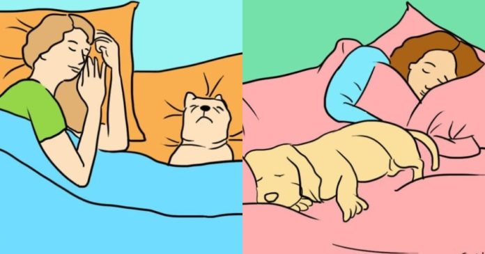 ayta-einai-ta-pragmatika-ofeli-otan-afinete-ton-skylo-sas-na-koimatai-mazi-sas