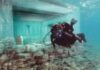 Η υποβρύχια πολιτεία στην Ελαφόνησο που προκαλεί ενδιαφέρον (vid)