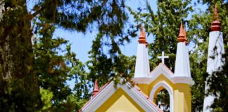 Δάσος Συγγρού: Μια καταπράσινη όαση