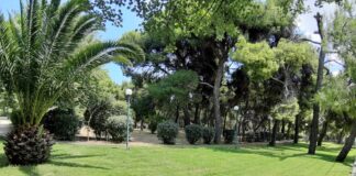 Δήμητρα Κεχαγιά: Όλοι μαζί κρατάμε το Δήμο Πεντέλης καθαρό