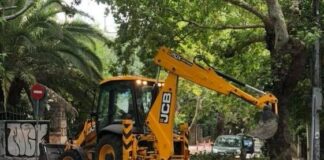 Κηφισιά: Ενημέρωση για την αποκομιδή των κηπαίων