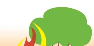 Kίνδυνος Πυρκαγιάς: Αυξημένος την Τετάρτη 22 Ιουλίου 2020