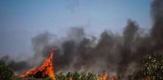 Κίνδυνος πυρκαγιάς: Αυξημένος για σήμερα 23/07