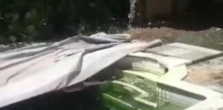 Κοινότητα Ψυχικού: Στη Μάχη με τα Κουνούπια