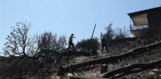 Μάτι: Εισαγγελική παρέμβαση για τα περί συγκάλυψης ευθυνών