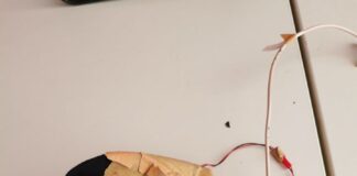 Περιφέρειας Αττικής: Στελέχη απέτρεψαν απόπειρα αντιγραφής από υποψηφίους οδηγούς