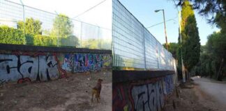 Ανοιχτή Συνέλευση: Για την υπεράσπιση του δάσους Συγγρού