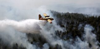 Πυροσβεστική: Ενημέρωση για τις δασικές πυρκαγιές