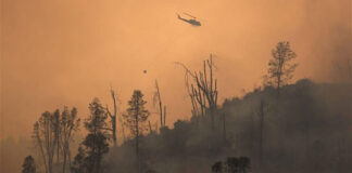 Καλιφόρνια: Οι πυροσβέστες αγωνίζονται να θέσουν υπό έλεγχο τις πυρκαγιές