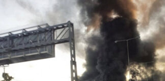 Οικολόγοι Πράσινοι: Η πυρκαγιά στη Μεταμόρφωση επιβάλλει καλύτερη οργάνωση